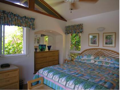 Adventure in Paradise - image 12