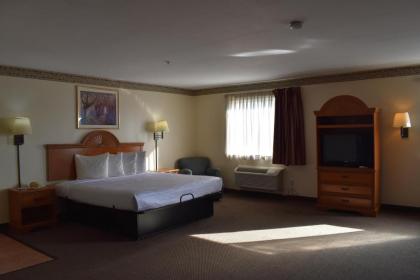 Americas Best Value Inn & Suites Haltom City Ft. Worth - image 5