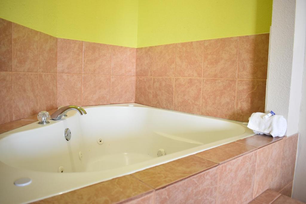 Americas Best Value Inn & Suites Haltom City Ft. Worth - image 7