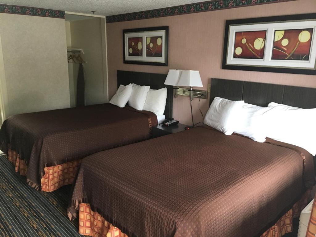 Whitney Inn & Suites - image 5