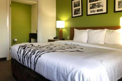 Sleep Inn Hardeeville - image 5