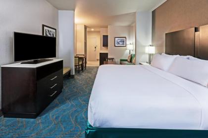 Holiday Inn Express and Suites Killeen-Fort Hood Area an IHG Hotel - image 15