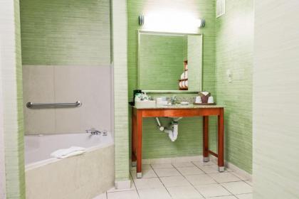 Hampton Inn & Suites Harlingen - image 3