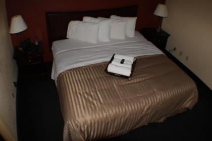 Value Inn & Suites - Harlingen - image 13