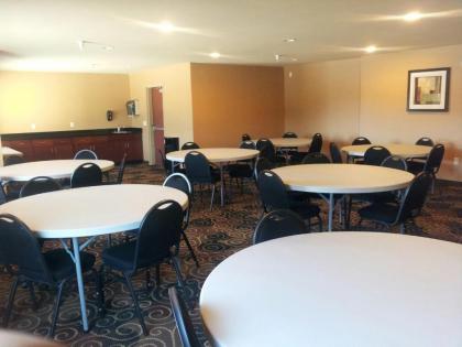 Cobblestone Inn & Suites - Hartington - image 8