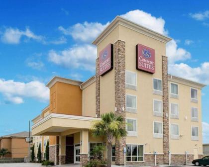 Comfort Suites Harvey   New Orleans West Bank Harvey Louisiana