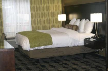 Best Western Premier University Inn - image 6