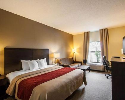 Quality Inn Hayti North - image 15