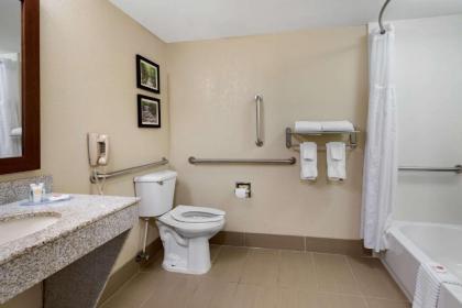 Comfort Inn & Suites - image 11
