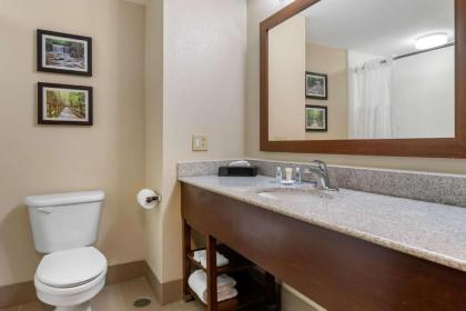 Comfort Inn & Suites - image 13