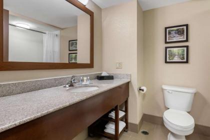 Comfort Inn & Suites - image 14