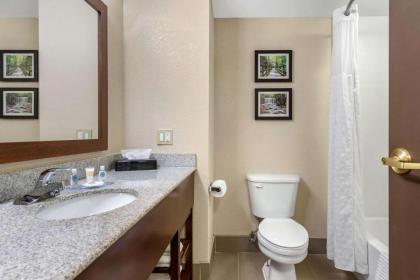 Comfort Inn & Suites - image 9