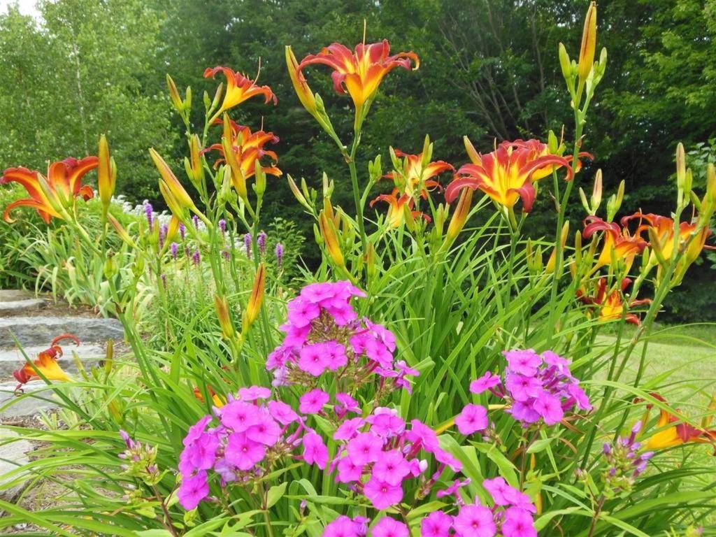 Coppertoppe Inn & Retreat Center - image 6