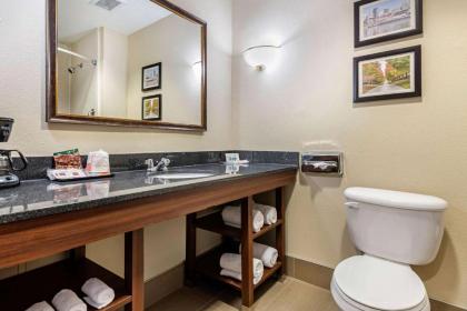 Comfort Suites Cincinnati Airport - image 10