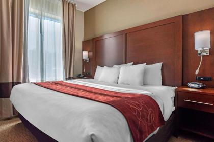 Comfort Suites Cincinnati Airport - image 11
