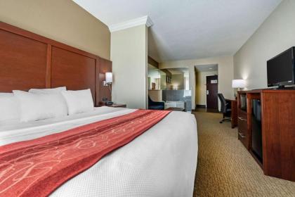 Comfort Suites Cincinnati Airport - image 14