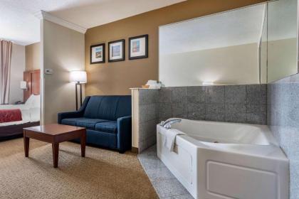 Comfort Suites Cincinnati Airport - image 2