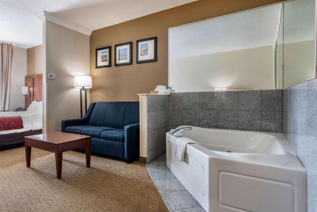 Comfort Suites Cincinnati Airport - image 2