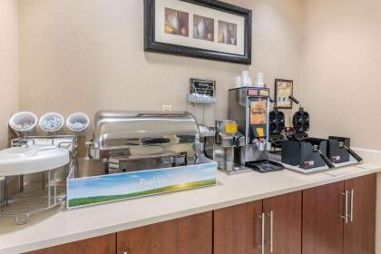 Comfort Suites Cincinnati Airport - image 4