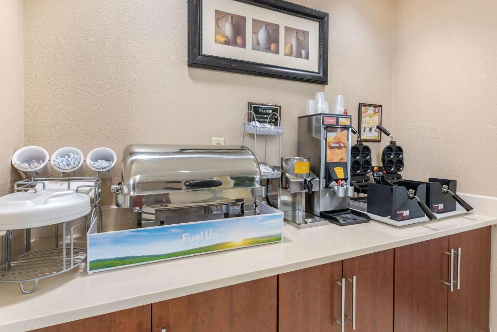 Comfort Suites Cincinnati Airport - image 4