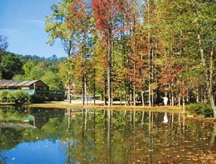 Quaint German Alpine Resort Village of Helen - image 5
