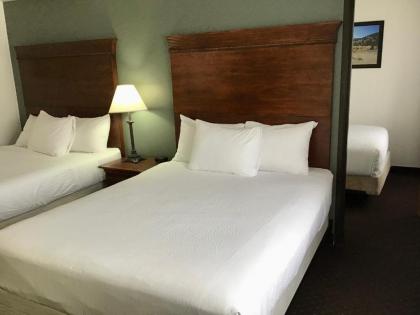 Jorgenson's Inn & Suites - image 12