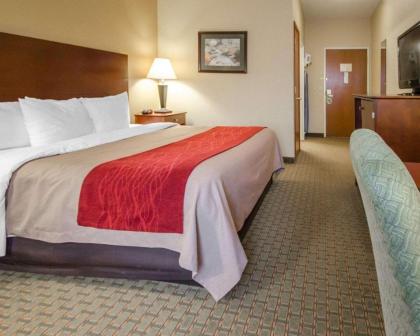Comfort Inn Henderson - image 8