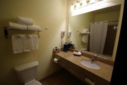 Mountain Inn & Suites Airport - Hendersonville - image 2