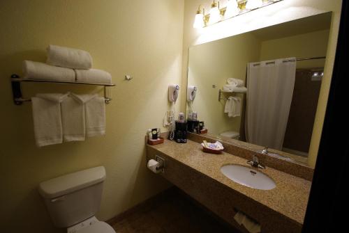 Mountain Inn & Suites Airport - Hendersonville - image 2