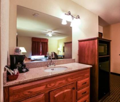 Mountain Inn & Suites Airport - Hendersonville - image 3