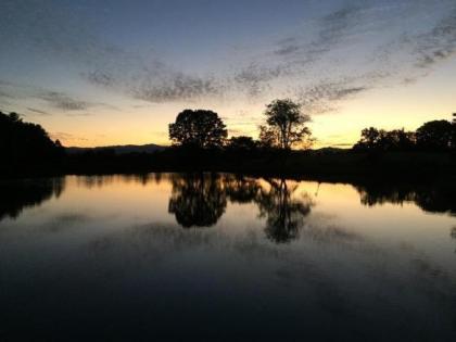 Innisfree Farm - image 2
