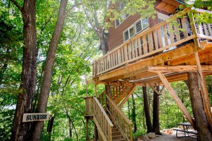 The Cottage Treehouses - image 6
