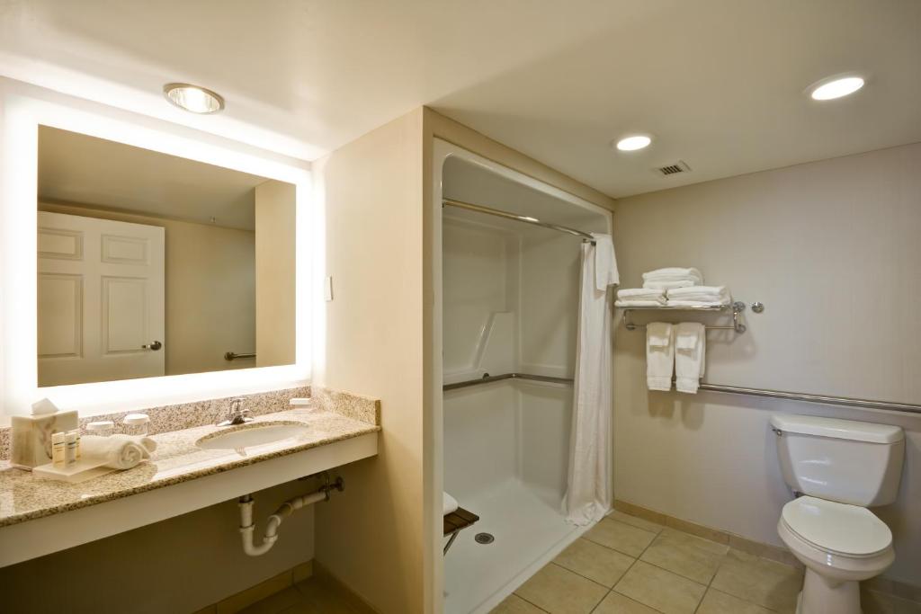 Homewood Suites Dulles-International Airport - image 4