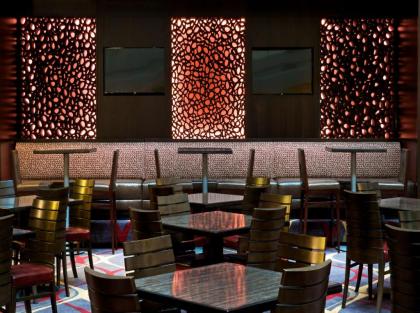 Embassy Suites by Hilton Dulles Airport - image 18