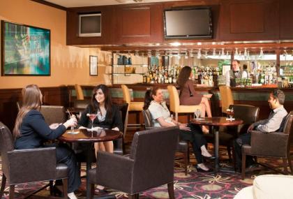 Embassy Suites by Hilton Dulles Airport - image 3