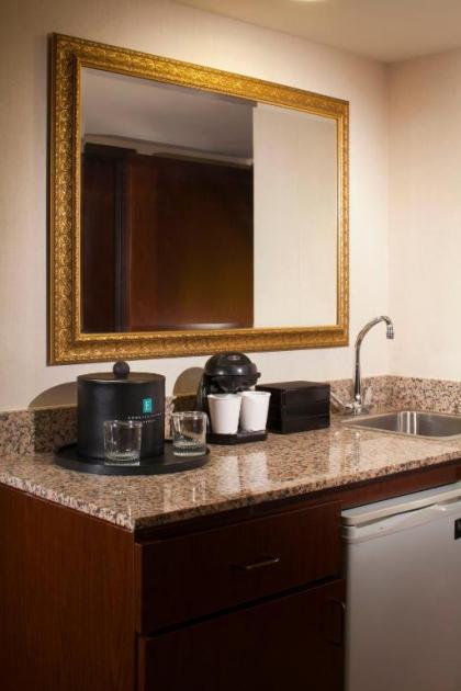 Embassy Suites by Hilton Dulles Airport - image 7