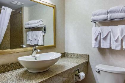 Comfort Inn Herndon-Reston - image 10