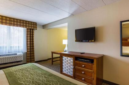 Comfort Inn Herndon-Reston - image 13