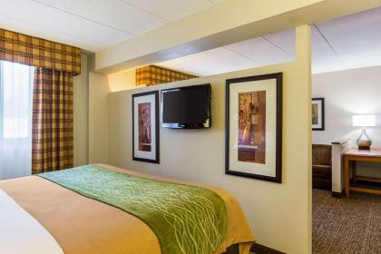 Comfort Inn Herndon-Reston - image 14