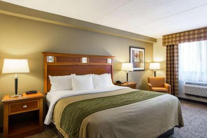 Comfort Inn Herndon-Reston - image 15