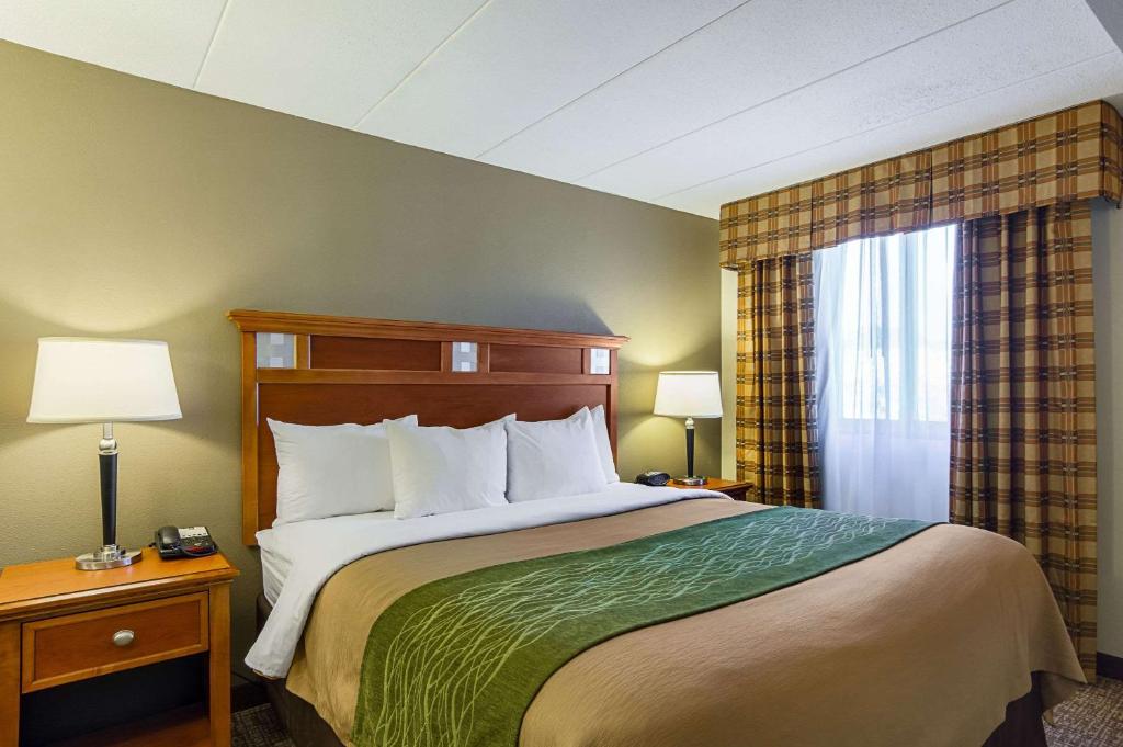 Comfort Inn Herndon-Reston - image 6