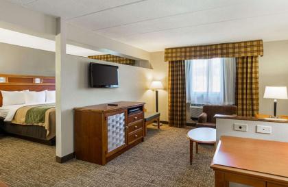 Comfort Inn Herndon-Reston - image 9