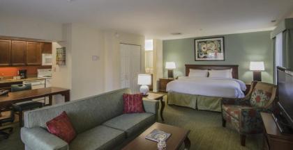 Residence Inn by Marriott Herndon Reston - image 4