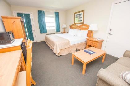 Lake Chatuge Lodge - image 10