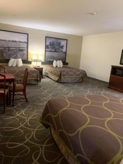 Super 8 by Wyndham Hillsboro TX - image 7