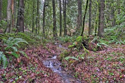 Willamette Valley Apt - Surrounded by Wineries!
