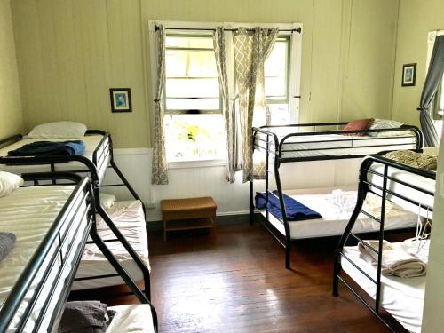 Hilo Bay Hostel - image 3