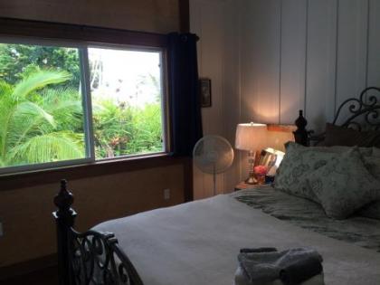 Hilo Bay Oceanfront Bed and Breakfast - image 2