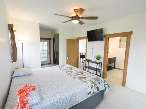 Hilo Vacation Rental - main image