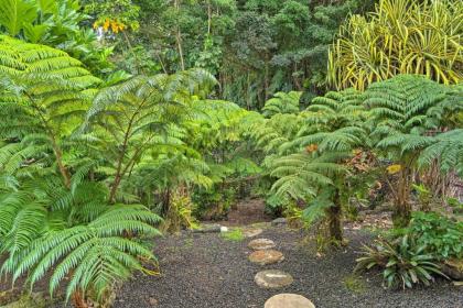 Hilo Home with Ocean View- 39 Mi to Volcanoes NP - image 18